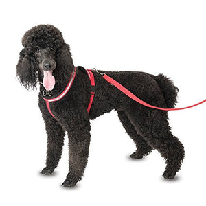 COA Comfy Harness, X-Small